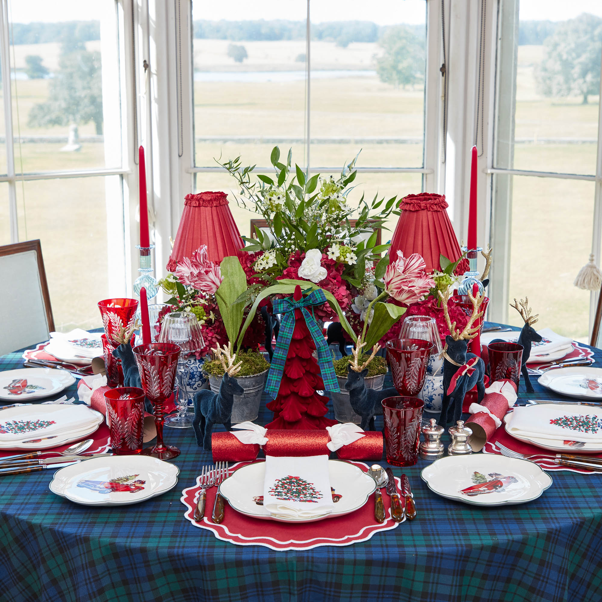 Katherine Berry Red Placemats (Set of 4)