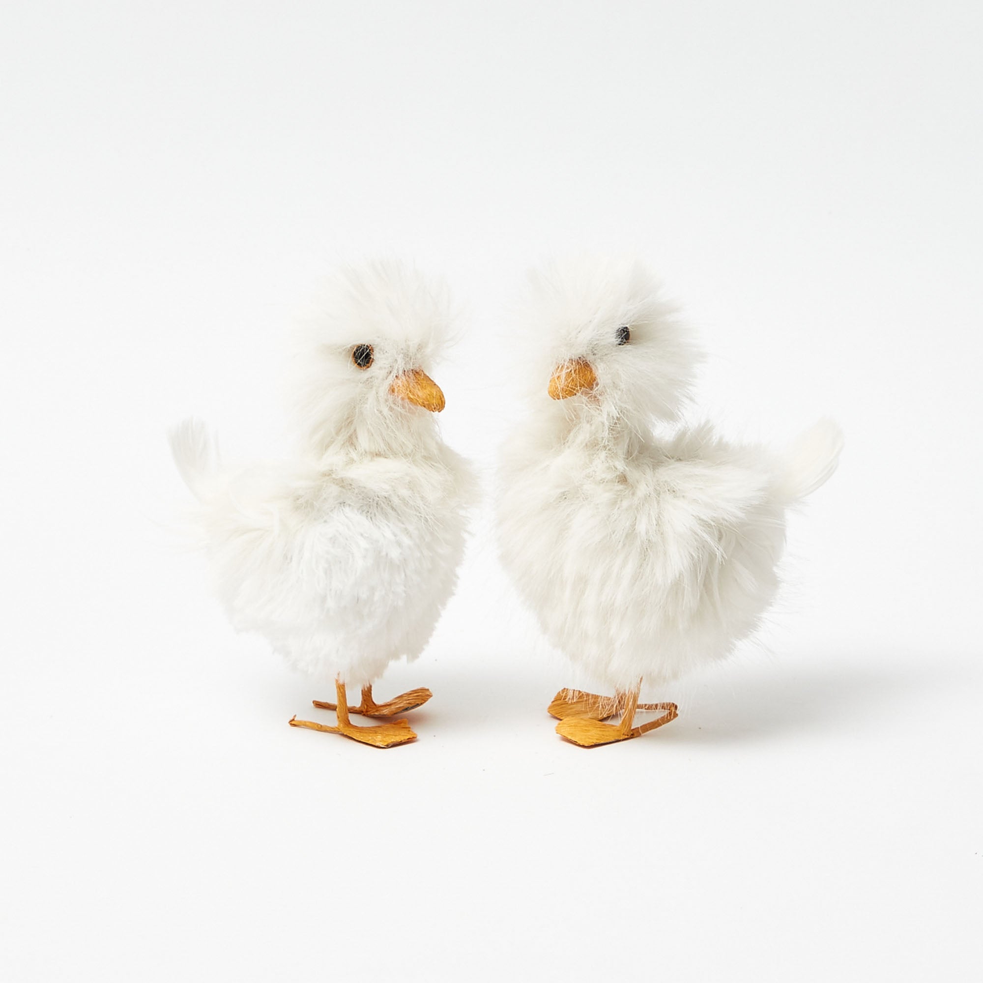 Small Fluffy Goslings (Pair)