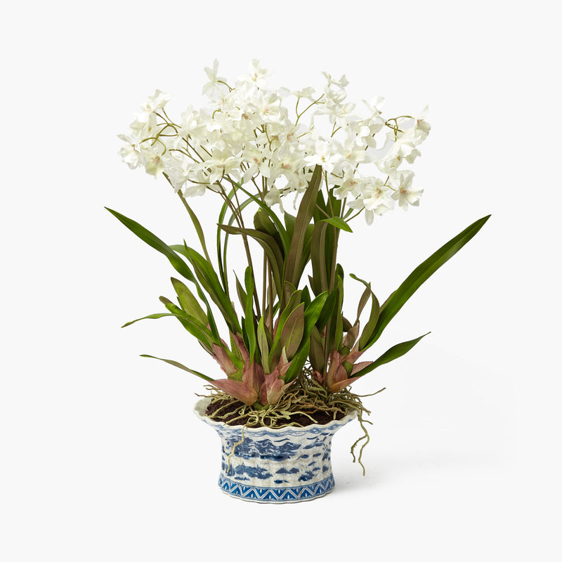 Faux Dancing Lady Orchid in Chinoiserie Planter