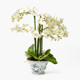 Faux Phalaenopsis Orchid in Chinoiserie Planter