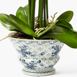 Faux Phalaenopsis Orchid in Chinoiserie Planter