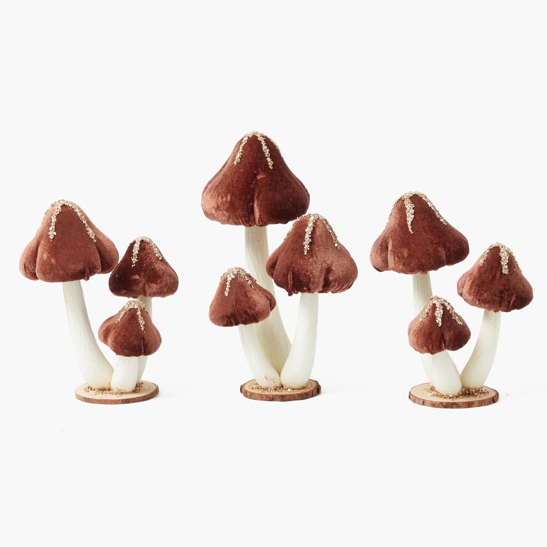 Chocolate Glitter Velvet Mushroom Family