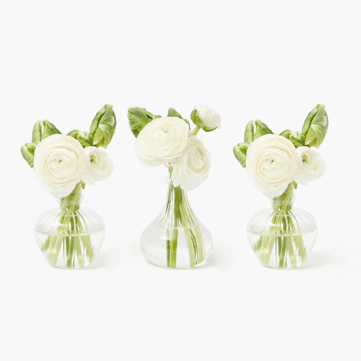 Nancy Bud Vase (Set of 3)