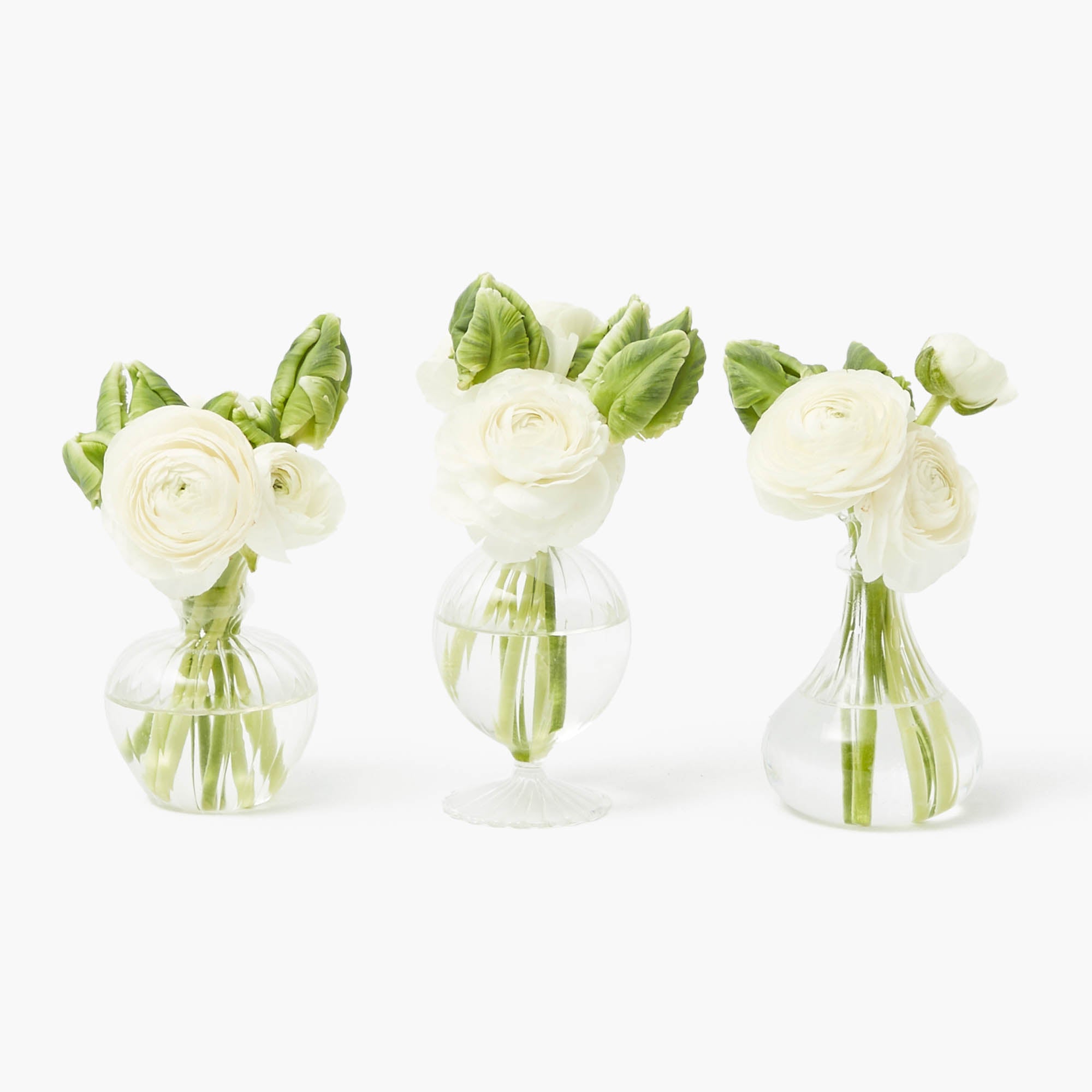 Nancy Bud Vase (Set of 3)