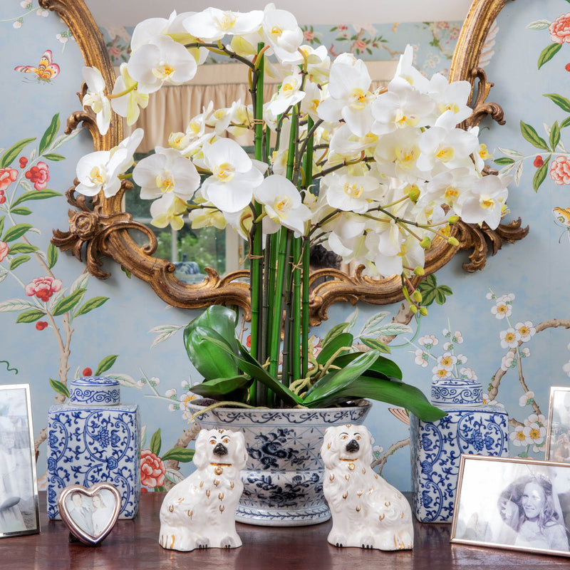 Faux Phalaenopsis Orchid in Chinoiserie Planter