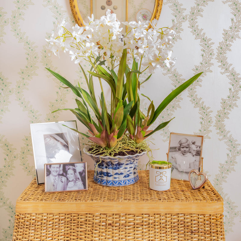 Faux Dancing Lady Orchid in Chinoiserie Planter