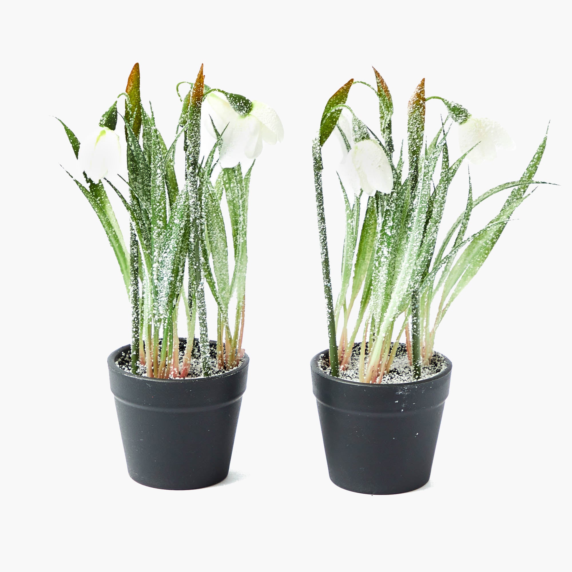 Potted Faux Frosted Snowdrop (Pair)