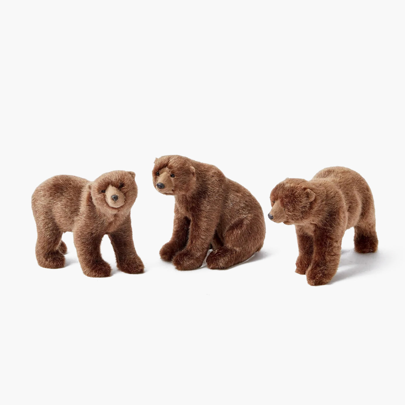 Alpine Brown Bears (Set of 3)