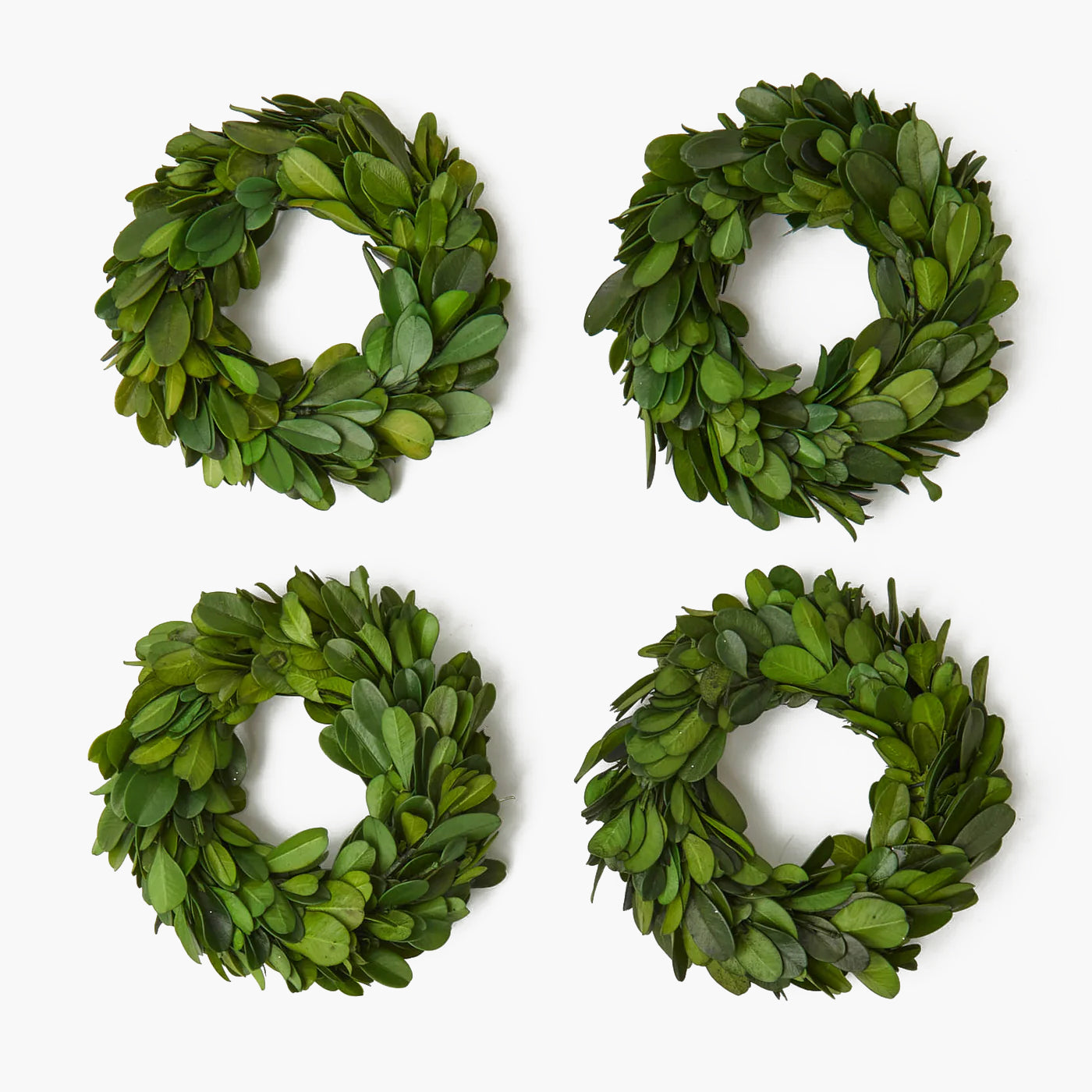 Boxwood Wreath (Set of 4)