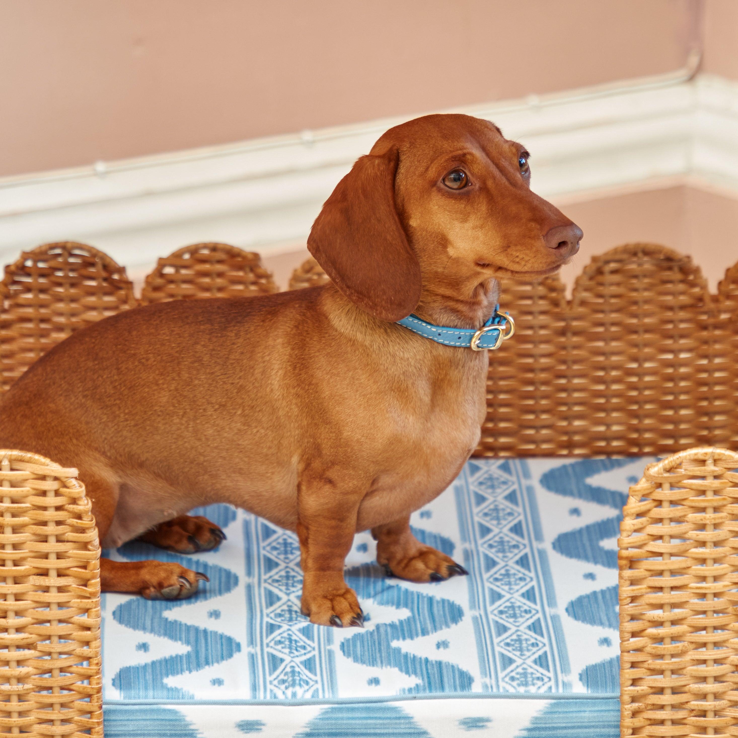 Dorothy Pagoda Dog Bed - Mrs. Alice