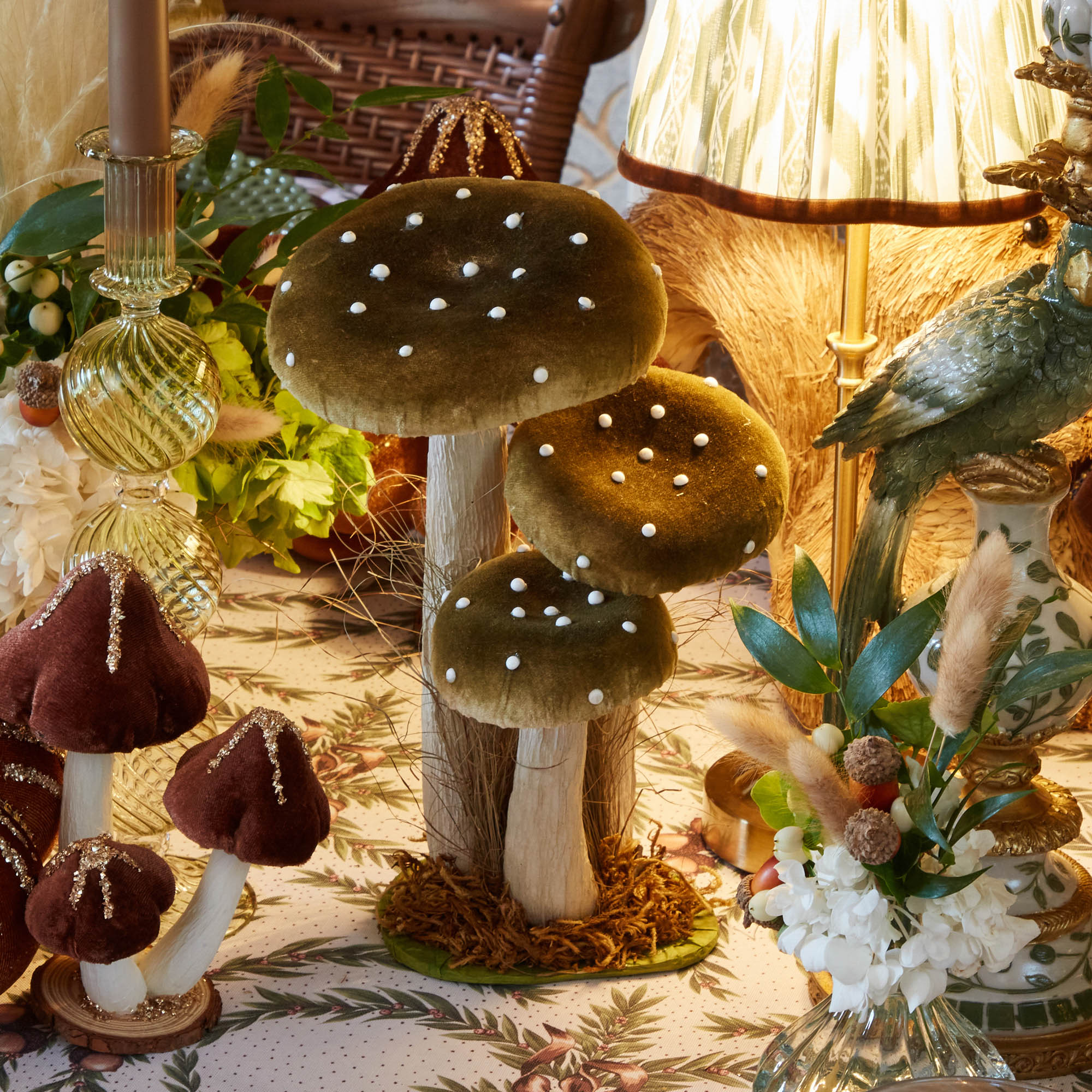 Popular Mushroom set