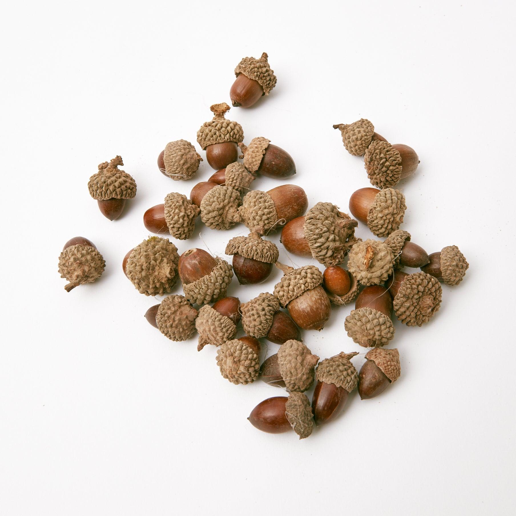 Assortment of Mrs. Alice's intricately detailed decorative acorns.