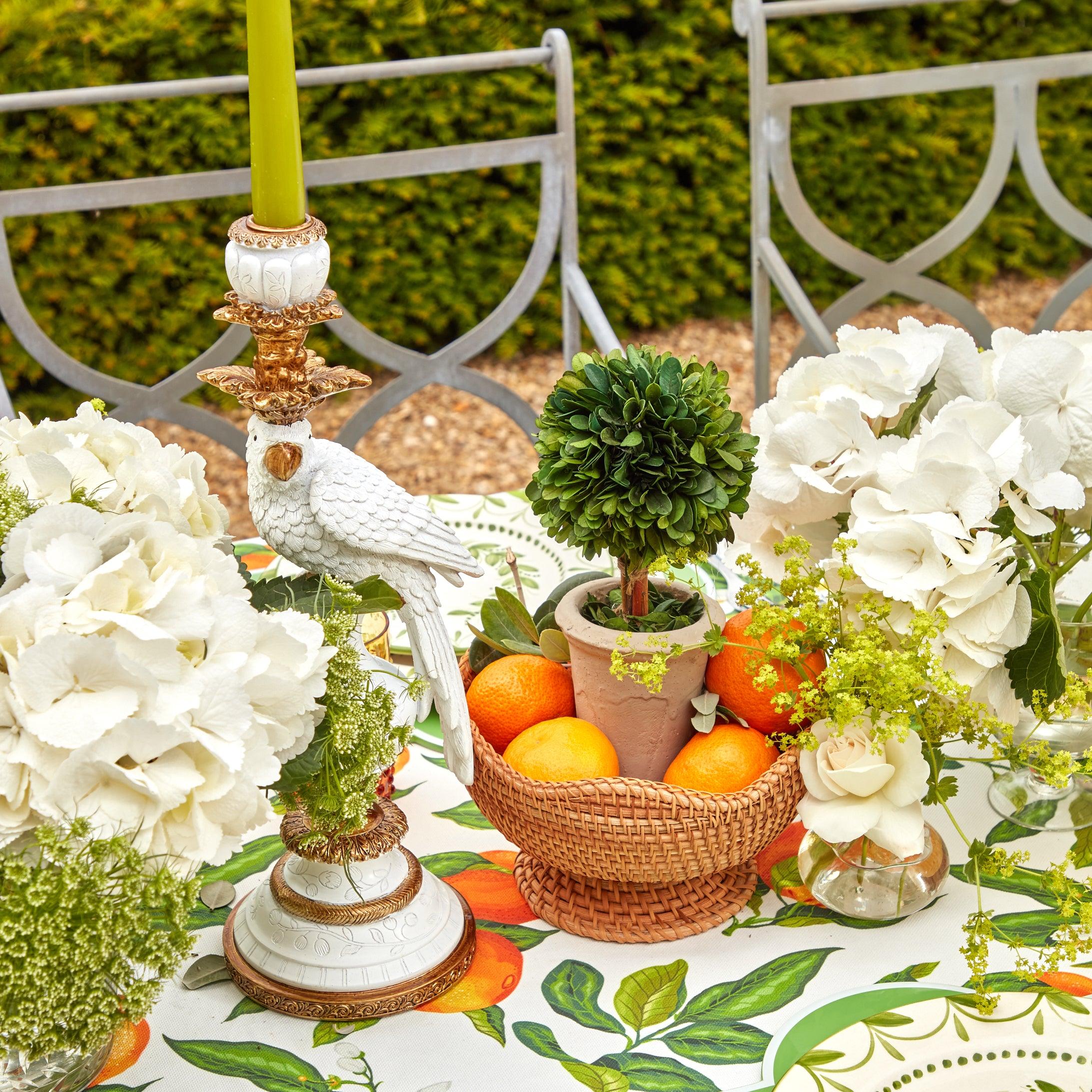 Potted Boxwood Ball (Pair) - Mrs. Alice