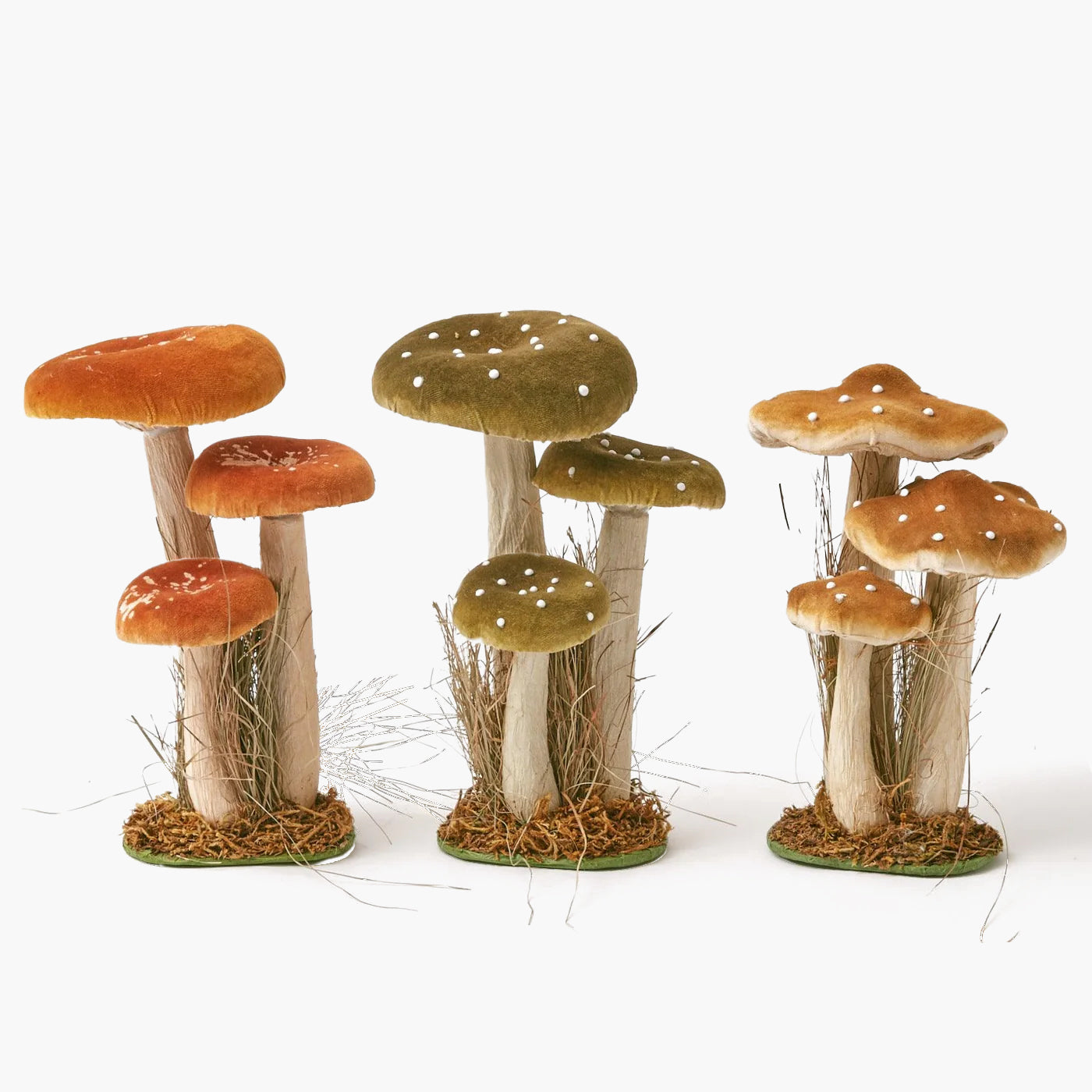 Tall Mixed Mushroom Set