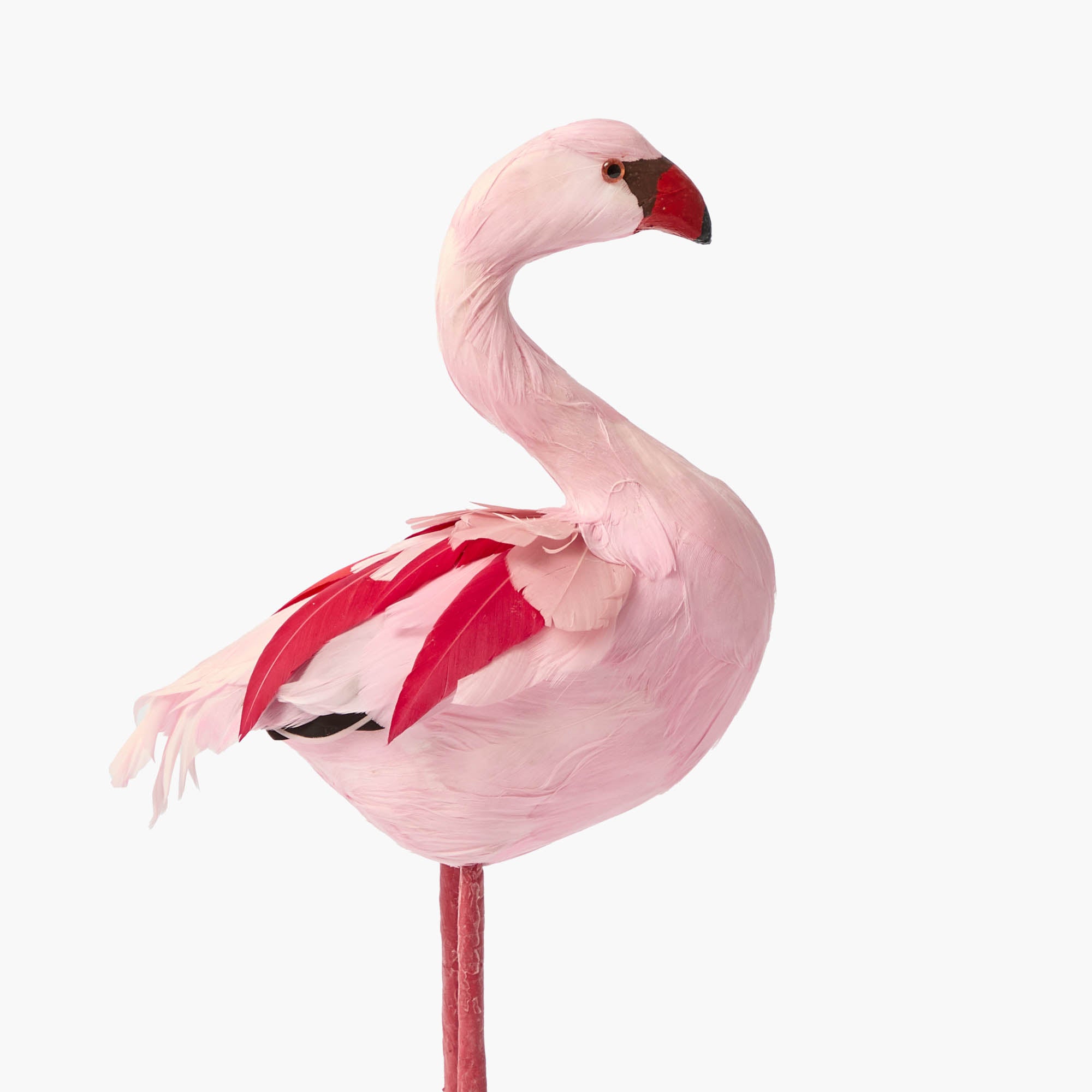 Faye Flamingo (Pair) - 30cm