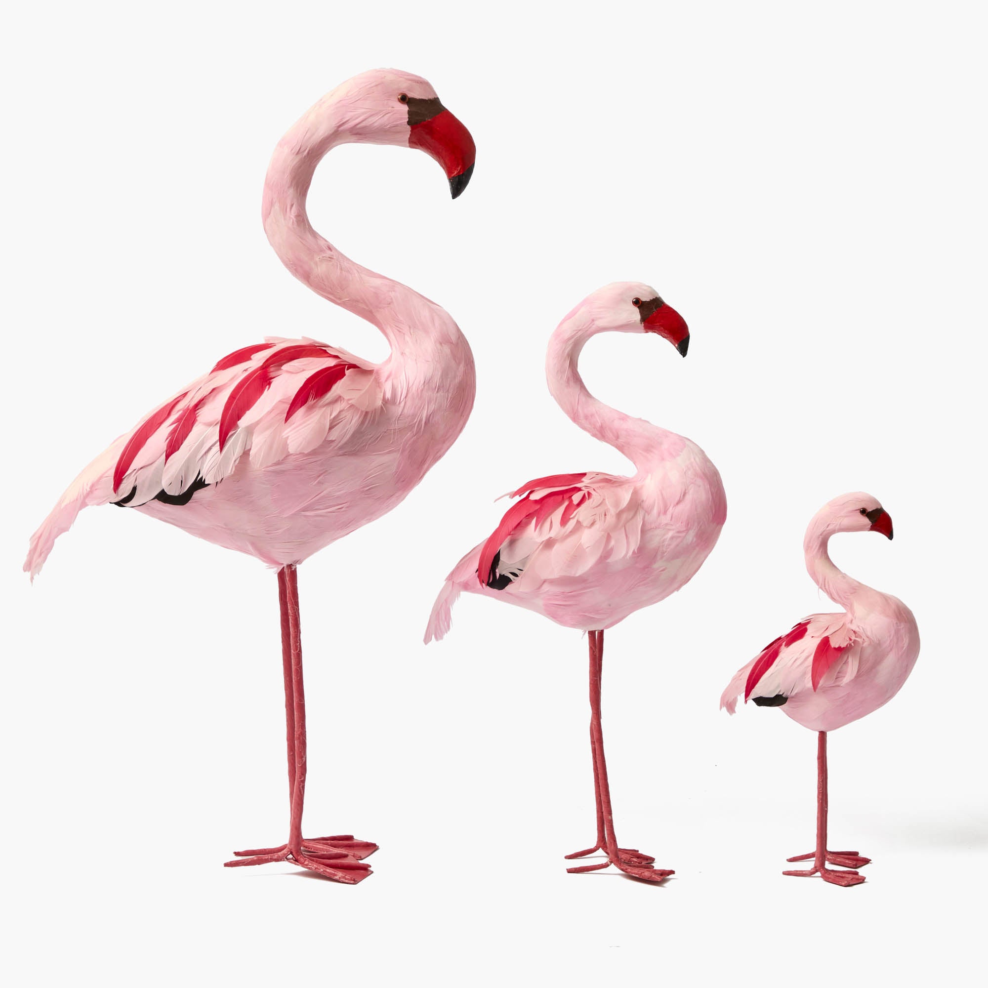 Faye Flamingo (Pair) - 60cm