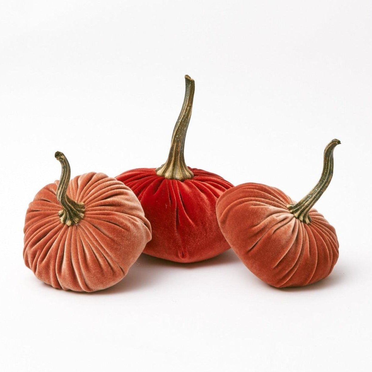 Cluster of velvet pumpkins in varying sizes, forming a family.