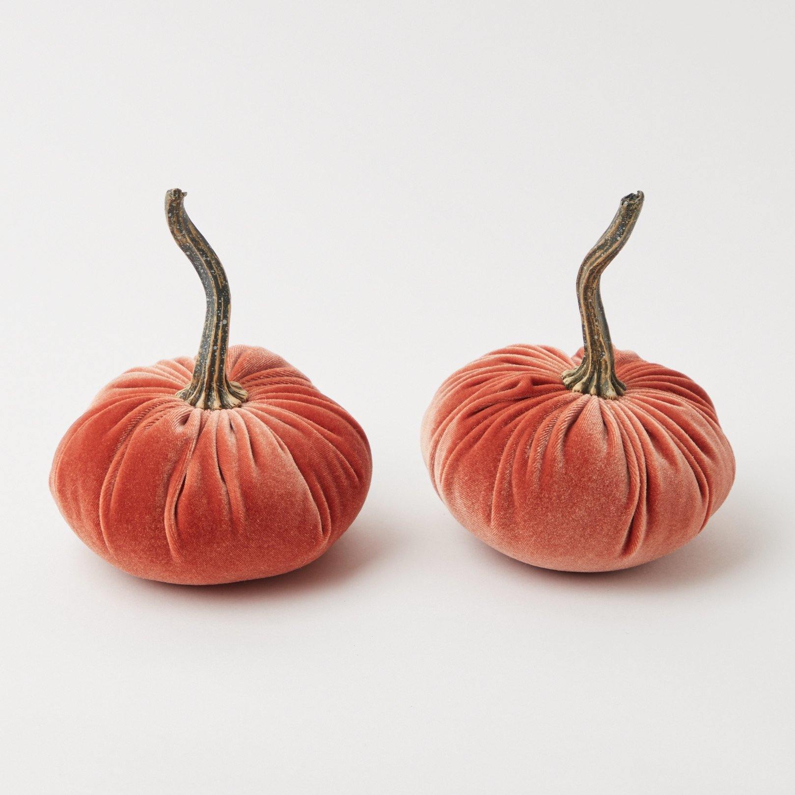 Cluster of velvet pumpkins, presenting a family-like arrangement.